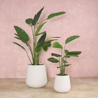 Quincy Planter Set of 3 White