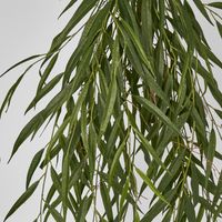 Weeping Willow Hanging Bush 105cm