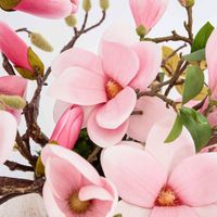 Magnolia With Full Blooms Pink 110cm