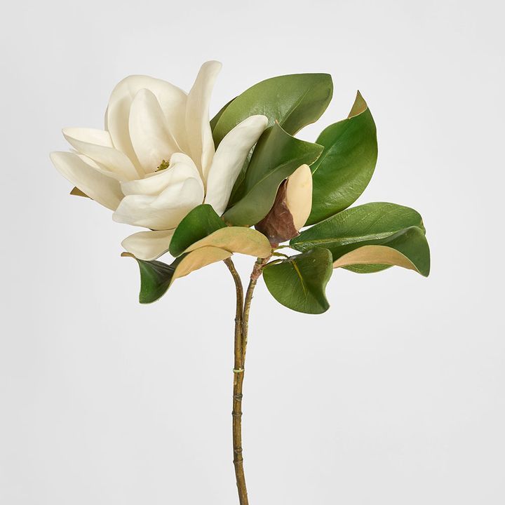 Magnolia Flower 72cm White