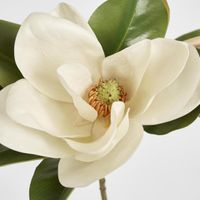 Magnolia Flower 72cm White
