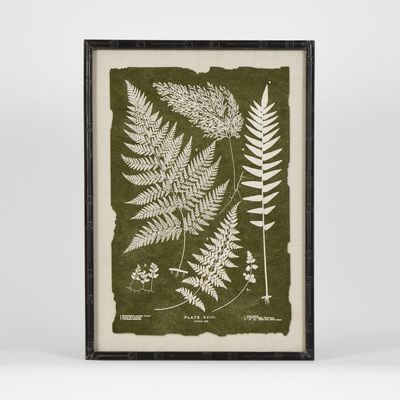 Moss Leaf Wall Art A