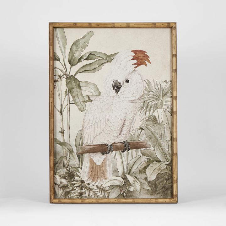 Jungle Cockatoo Wall Art C