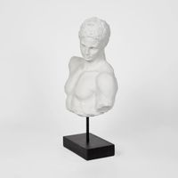 Grecian Polyresin Male Bust