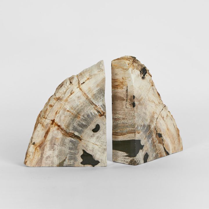 Cinagara Petrified Wood Bookends Set