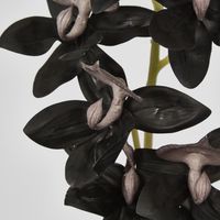 Real Touch Cycnoches Orchid Stem 84cm