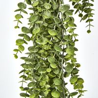 Green Eucalyptus Hanging Bush x 6