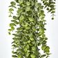 Green Eucalyptus Hanging Bush x 6