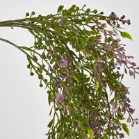 Boxwood Hanging Vine x 5 with Purple Berries