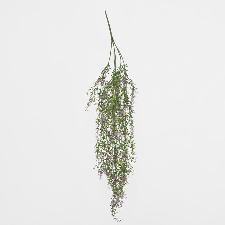 Boxwood Hanging Vine x 5 with Purple Berries