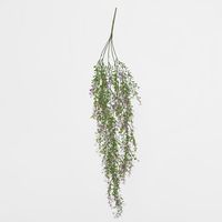 Boxwood Hanging Vine x 5 with Purple Berries