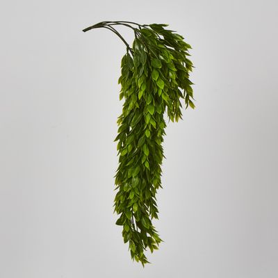 Hanging Ruscus Plant 56cm