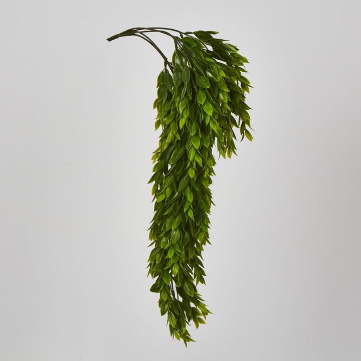 Hanging Ruscus Plant 56cm