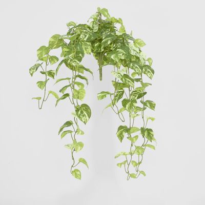 Real Touch Pothos hanging Bush x 12