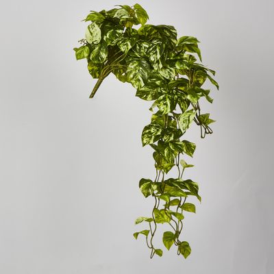 Real Touch Pothos hanging Bush x 12