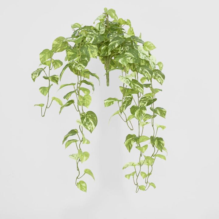 Real Touch Pothos hanging Bush x 12