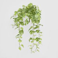 Real Touch Pothos hanging Bush x 12