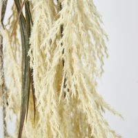 Ivory White Hanging Wheat Bush