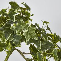 Real Touch Hanging Verigated Sage Ivy Bush x 12