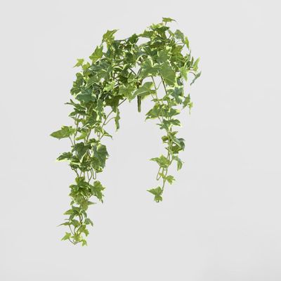 Real Touch Hanging Verigated Sage Ivy Bush x 12