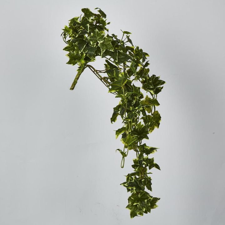 Real Touch Hanging Verigated Sage Ivy Bush x 12