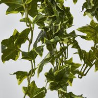 Real Touch Hanging Verigated Sage Ivy Bush x 12