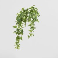 Real Touch Hanging Verigated Sage Ivy Bush x 12