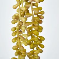 Hanging Pearl Necklace Vine Yellow 73cm