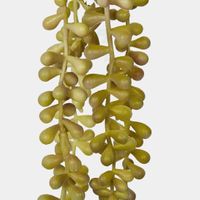 73cm Light Green Yellow Pearl Necklace Vine x 5