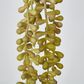 73cm Light Green Yellow Pearl Necklace Vine x 5