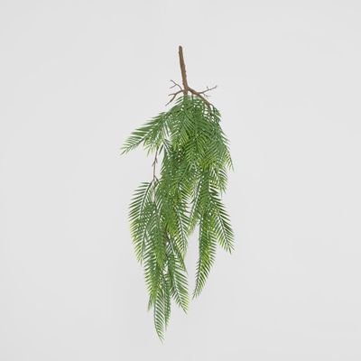Hanging Pitch Pine Bush