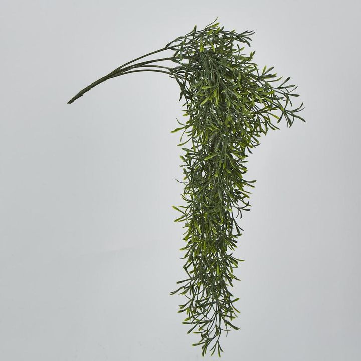 66cm Green Springeri Hanging Vine x5