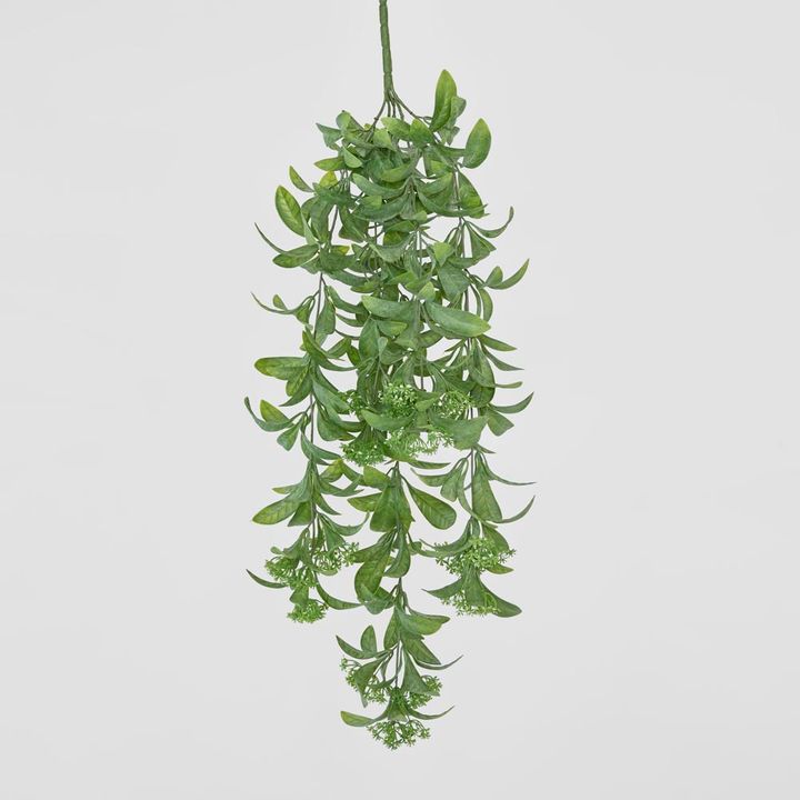 Osmanthus Hanging Bush With White flower