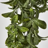 Osmanthus Hanging Bush With White flower