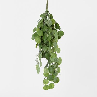 Hanging Green  Eucalyptus Leaf Bush
