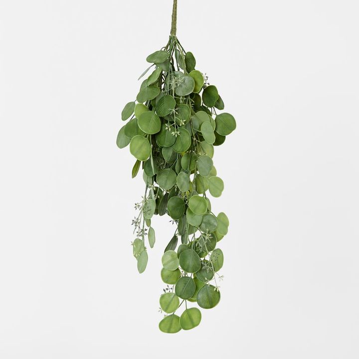 Hanging Green  Eucalyptus Leaf Bush