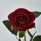 Red Rose Stem