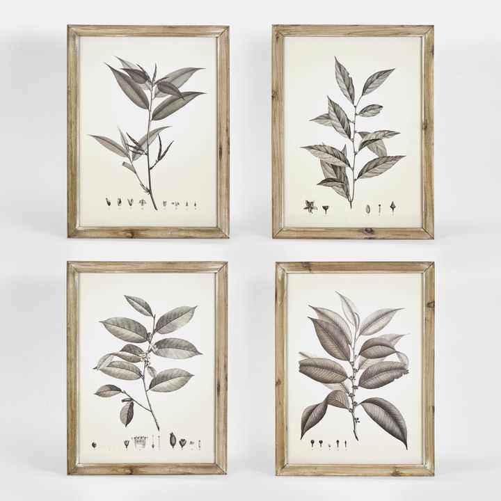 Chelsea Botanical Wall Décor Set 4