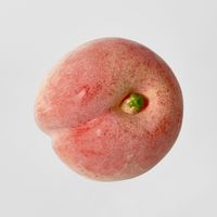 Artificial Peach