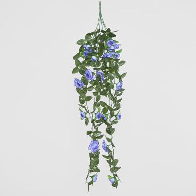 Hanging Roses