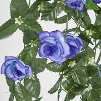 Hanging Rose Bush Blue