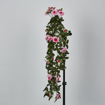 Hanging Roses