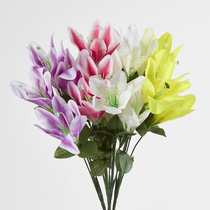 Tiger lily Bush Sold in Box Qty Only