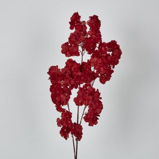 Red Blossom (Increments of 2)