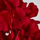 Red Hydrangea Bush x 5