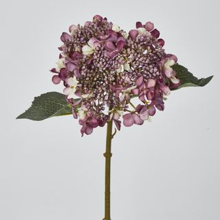 Short Stem Purple Hydrangea