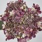 Short Stem Purple Hydrangea