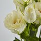White Lisianthus bundle by 5 Flower and Bud