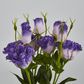 Purple Lisianthus bundle by 5 Flower and Bud
