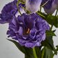 Purple Lisianthus bundle by 5 Flower and Bud